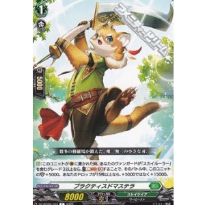 画像: 【C】プラクティスドマステラ
