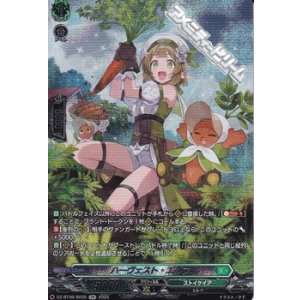 画像: 【SR】ハーヴェスト・エルフ