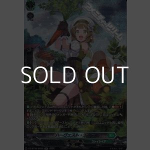 画像: 【SR】ハーヴェスト・エルフ