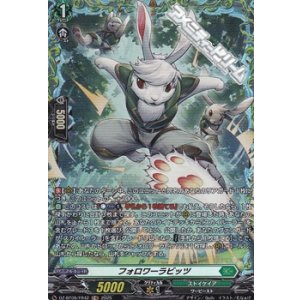 画像: 【FR】フォロワーラビッツ