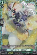 画像: 【FR】ビタースケル・ピエリス