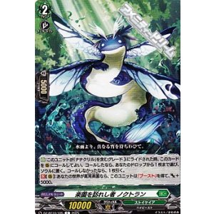 画像: 【C】楽園を訪れし者 ノクトラン