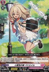 画像: 【C】小麦色の夏 パニエイル