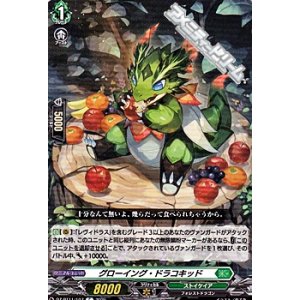 画像: 【C】グローイング・ドラコキッド