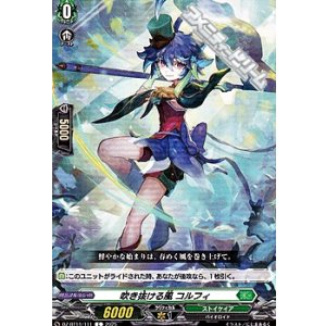 画像: 【C】吹き抜ける風 コルフィ