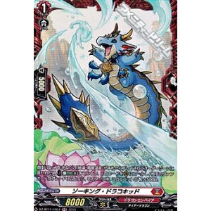 画像: 【FR】ソーキング・ドラコキッド