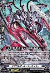 画像: 【RR】クアドルポール・サーキュラー