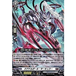 画像: 【RR】クアドルポール・サーキュラー