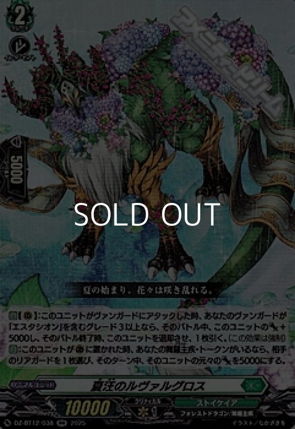 画像1: 【RR】夏汪のルヴァルグロス (1)