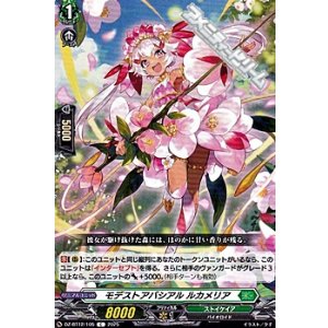 画像: 【C】モデストアバシアル ルカメリア