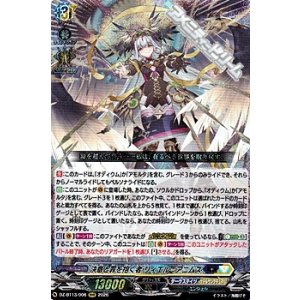 画像: 【RRR】決意と罪を抱く者 リィエル=アニムス