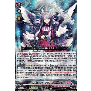 画像: 【RRR】LettiaMateS マグノリア “幻影”