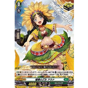 画像: 【R+】憧憬の乙女 アラナ