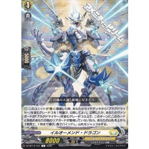 画像: 【C】イルオーメンド・ドラゴン