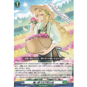 画像: 【R】舞い咲うは万彩の花