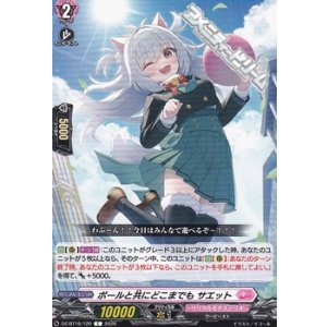 画像: 【C】ボールと共にどこまでも サエット