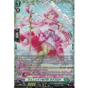 画像: 【FR】ジェニュインセパル ネクスロト