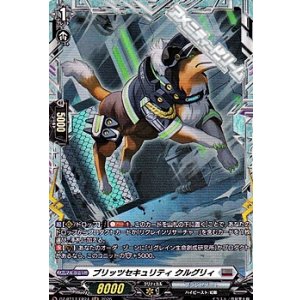 画像: 【FR】ブリッツセキュリティ クルグリィ