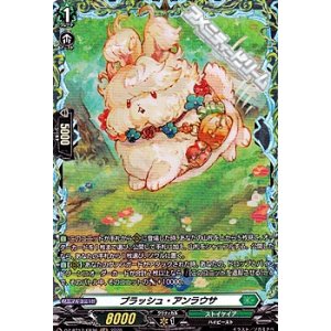 画像: 【FR】プラッシュ・アンラウサ