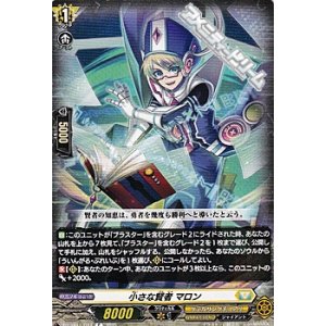 画像: 【C】小さな賢者 マロン