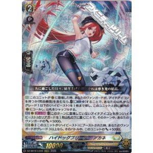 画像: 【LGRRR】ハイドッグブリーダー アカネ