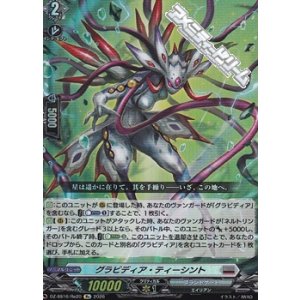 画像: 【Re】グラビディア・ティーシント