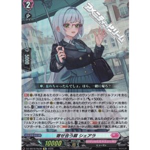 画像: 【Re】寄せ合う肩 シェアラ