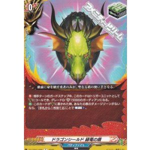 画像: 【C】ドラゴンシールド 緑竜の盾