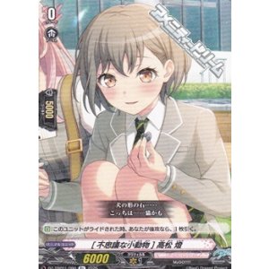 画像: 【R+】[不思議な小動物] 高松 燈