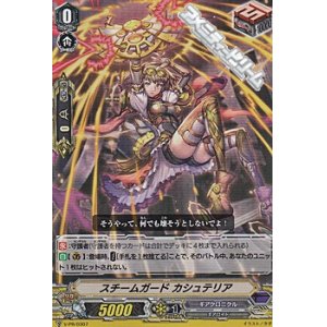 画像: 【PR】(RR仕様)スチームガード カシュテリア