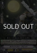 画像: 【C】ホワイトネス・ラビット