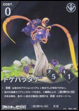画像: 【★★】トゲバラタケ
