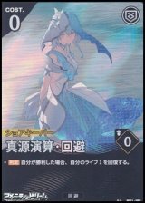 画像: 【★★】真源演算・回避