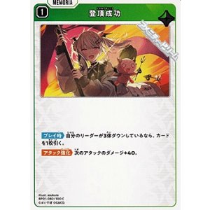画像: 【C】登頂成功