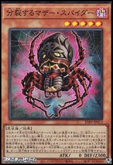 画像: 【スーパーレア】分裂するマザー・スパイダー