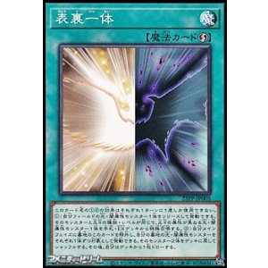 画像: 【ノーマル】表裏一体