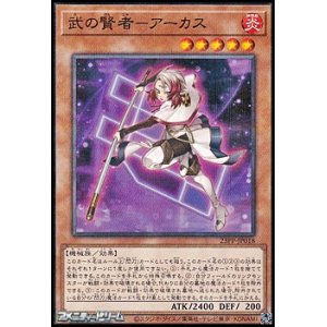 画像: 【パラレル】武の賢者－アーカス