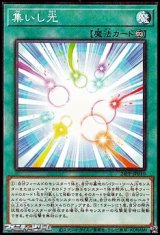 画像: 【パラレル】集いし光