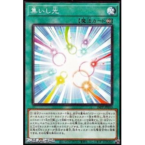 画像: 【パラレル】集いし光