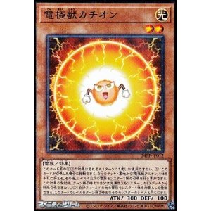 画像: 【パラレル】電極獣カチオン
