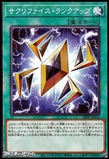 画像: 【パラレル】サクリファイス・ランクアップ