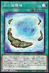 画像: 【パラレル】白の循環礁
