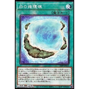 画像: 【パラレル】白の循環礁