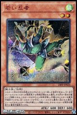 画像: 【シークレットレア SPECIAL RED Ver.】若い忍者