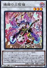 画像: 【スーパーレア】燐廻の三弦猫