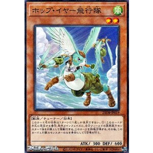 画像: 【パラレル】ホップ・イヤー飛行隊