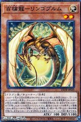 画像: 【パラレル】百檎龍－リンゴブルム