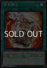 画像: 【パラレル】簡素融合