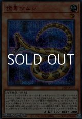 画像: 【シークレットレア SPECIAL RED Ver.】猛毒マムシ