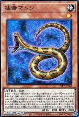 画像: 【スーパーレア】猛毒マムシ